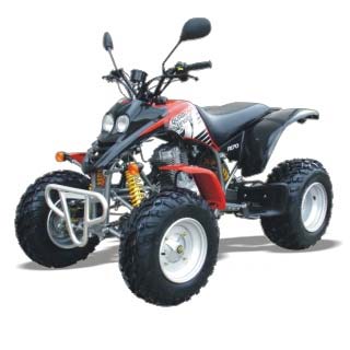 Quadzilla_R170.jpg