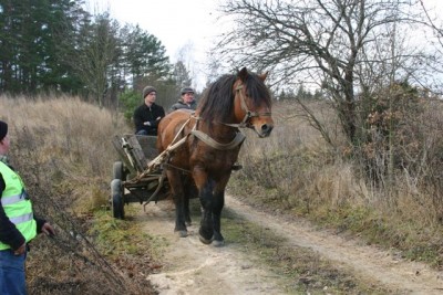 Pierwszy team pokonał tak szybko odcinek, że sędzia nie zdšżył odnotować czasu.