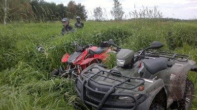 Mega trzcina ciąg dalszy...