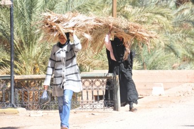 marocco 2011-10-07 141 [800x600].jpg